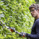 Cómo cuidar el jardín en otoño: 6 claves para hacer el mejor mantenimiento